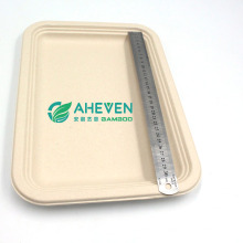 New Arrival Biodegradable Compartment Bagasse Dinner Plate